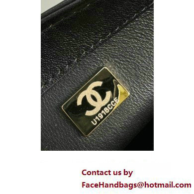 Chanel Lambskin, Resin  &  Gold-Tone Metal Small Flap Bag with Top Handle AS4848 Black 2024